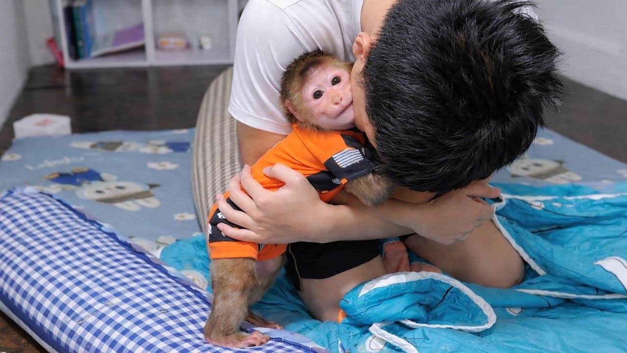 This Sweet Hug Between Baby Monkey Cubin and His Big Brother Will Melt Your Heart 🥹