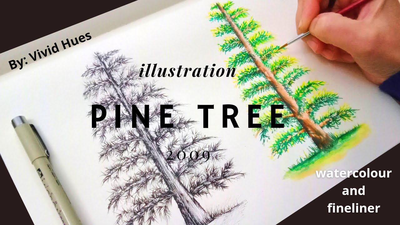easy Pine tree illustration || pine tree in watercolour || black and white pine tree ||spruce tree