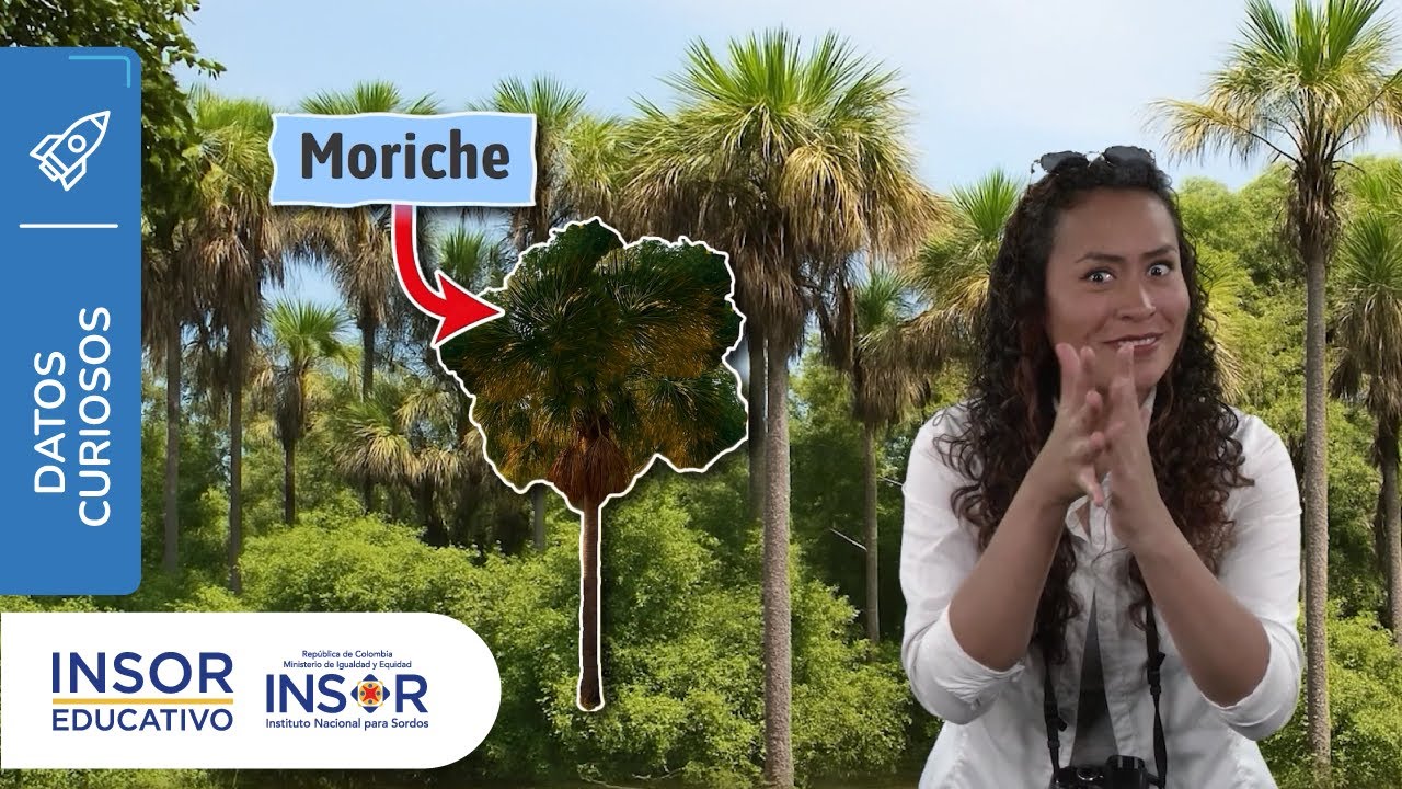 Morichales del Tuparro_en Lengua de Señas Colombiana_Dato Curioso