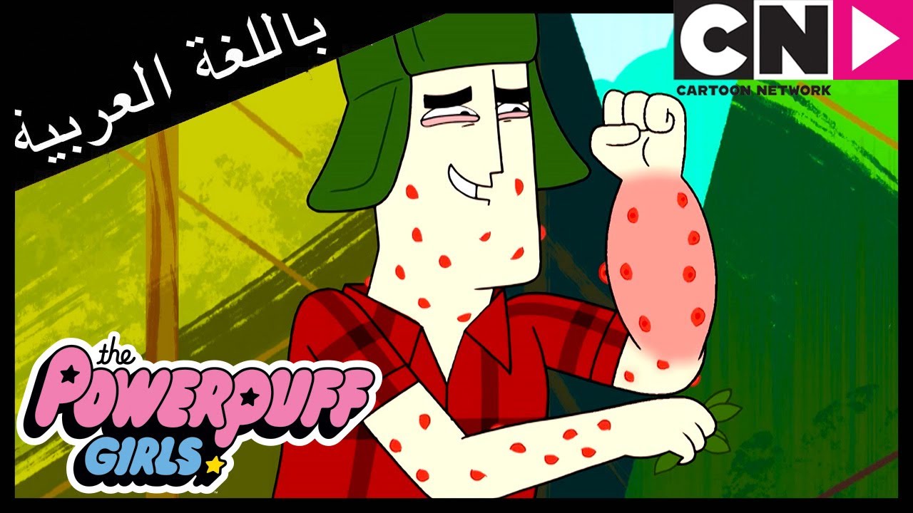 فتيات القوة | الروبيان | كرتون نتورك