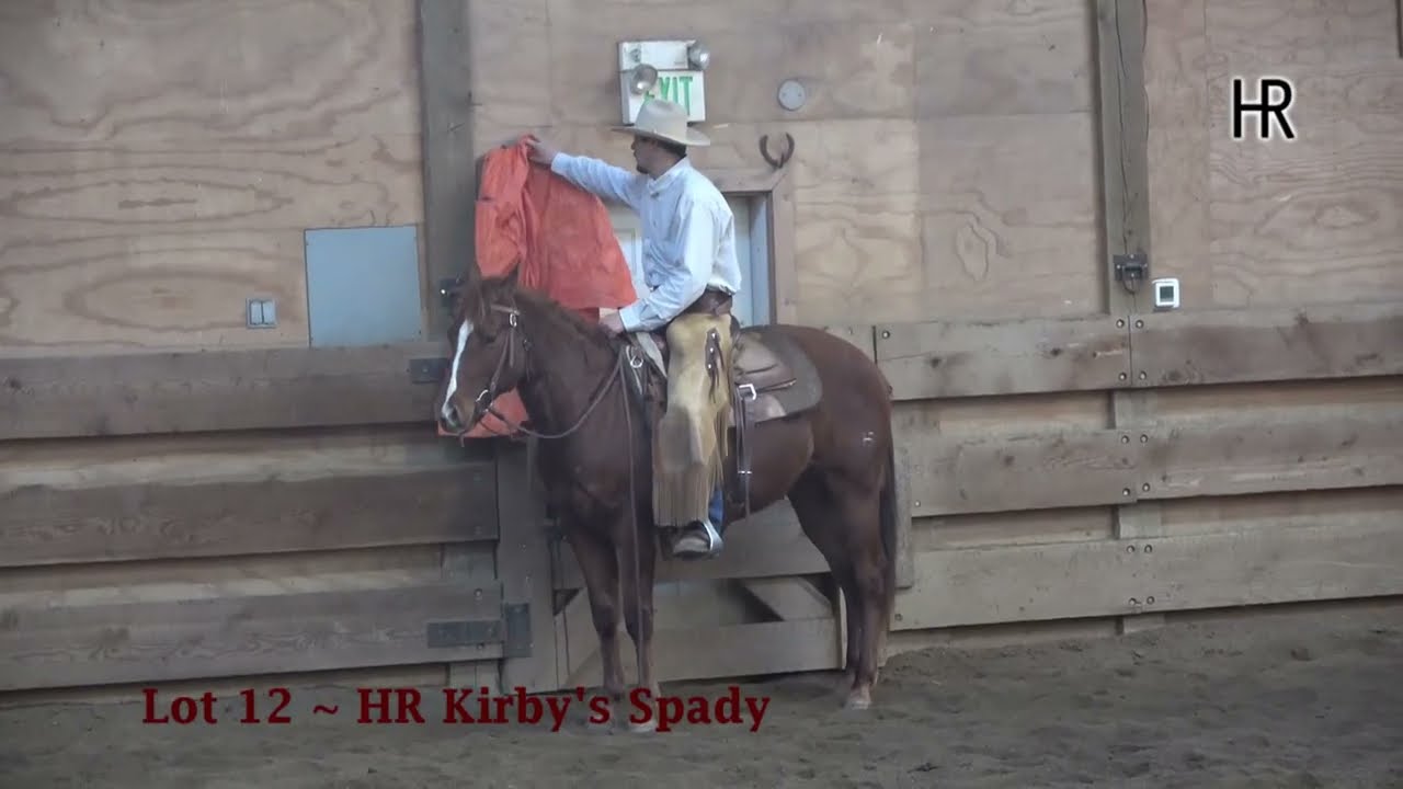 Lot 12 ~ HR Kirby's Spady