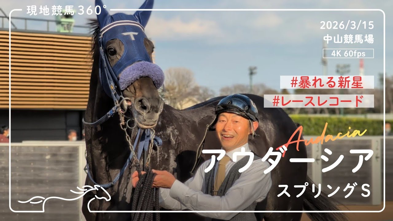 [ 暴れる新星 ] アウダーシア｜スプリングステークス パドック/本馬場入場/レース｜2026/3/15 中山競馬場｜4K/60fps