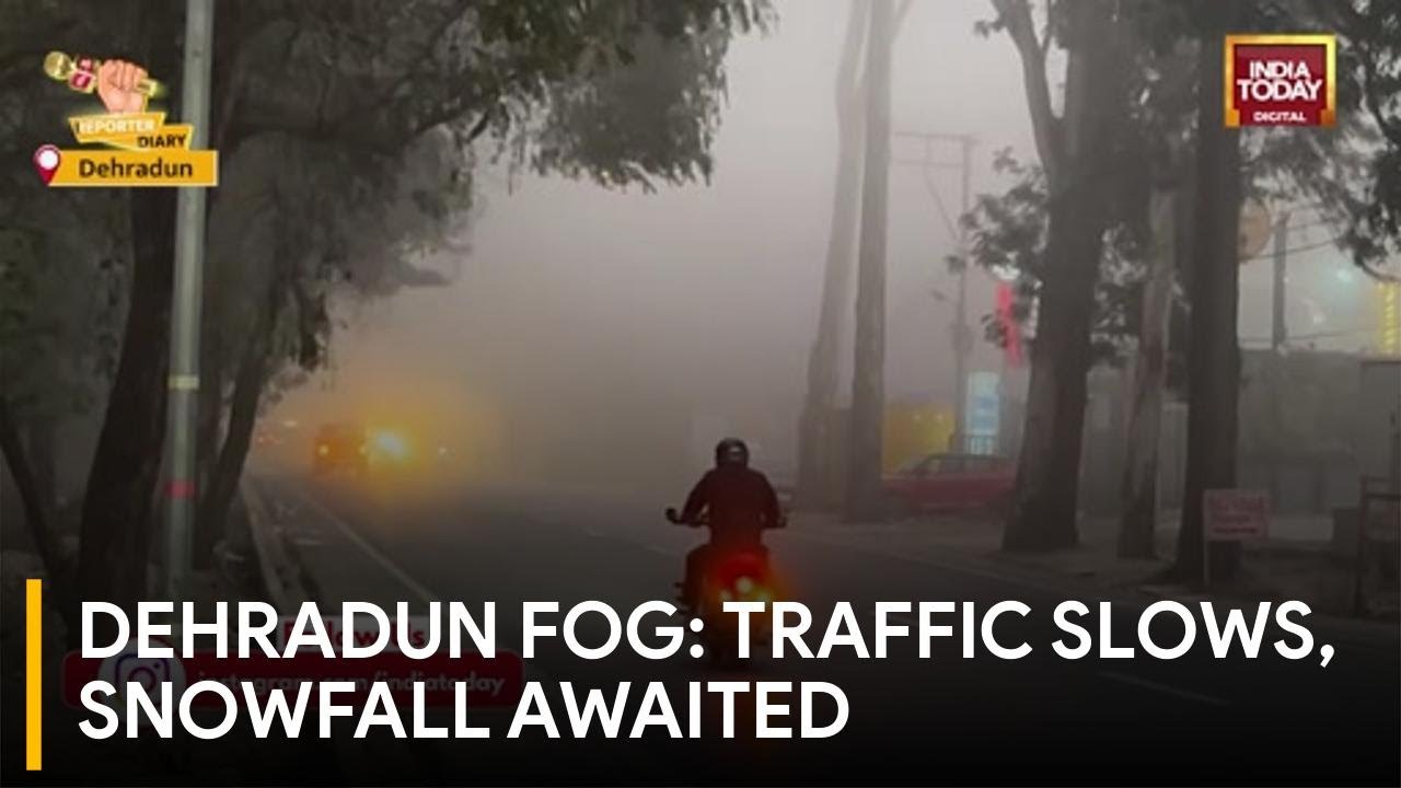 Dense Fog Engulfs Uttarakhand Plains, IMD Warns as Rain and Snowfall Likely | India Today News