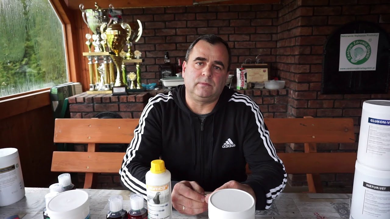 Zdzisław Lademann – Gołębie, Wyniki, Zdrowotność i Nowości CZG w jego gołębniku