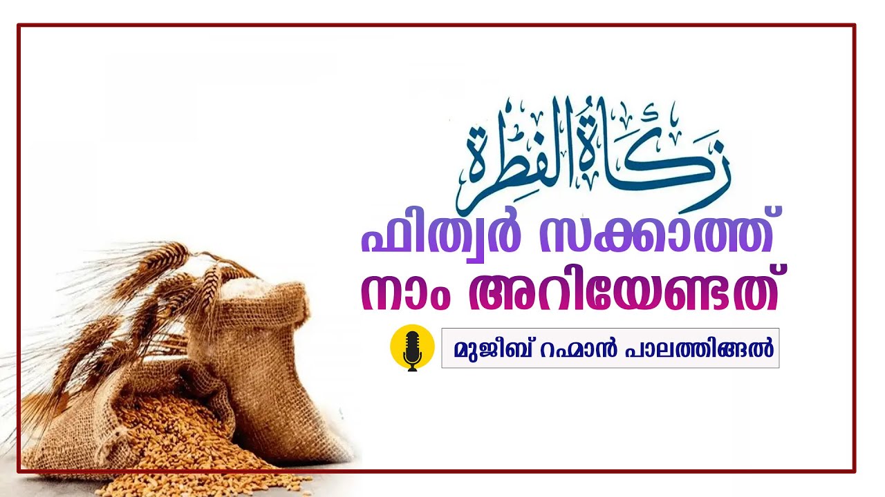 ഫിത്വർ സക്കാത്ത്‌; നാം അറിയേണ്ടത്‌ | മുജീബ്‌ റഹ്മാൻ പാലത്തിങ്ങൽ,അനീസ്‌ കൊടുങ്ങല്ലൂർ #zakat #ramadan 