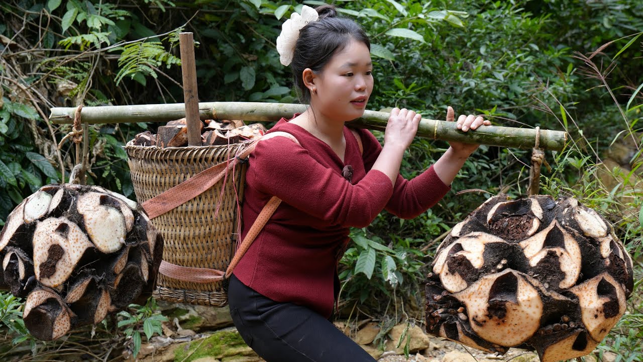 Daily Rural Life | Harvesting Taro Roots and Making Delicious Traditional Cakes to Sell the Market