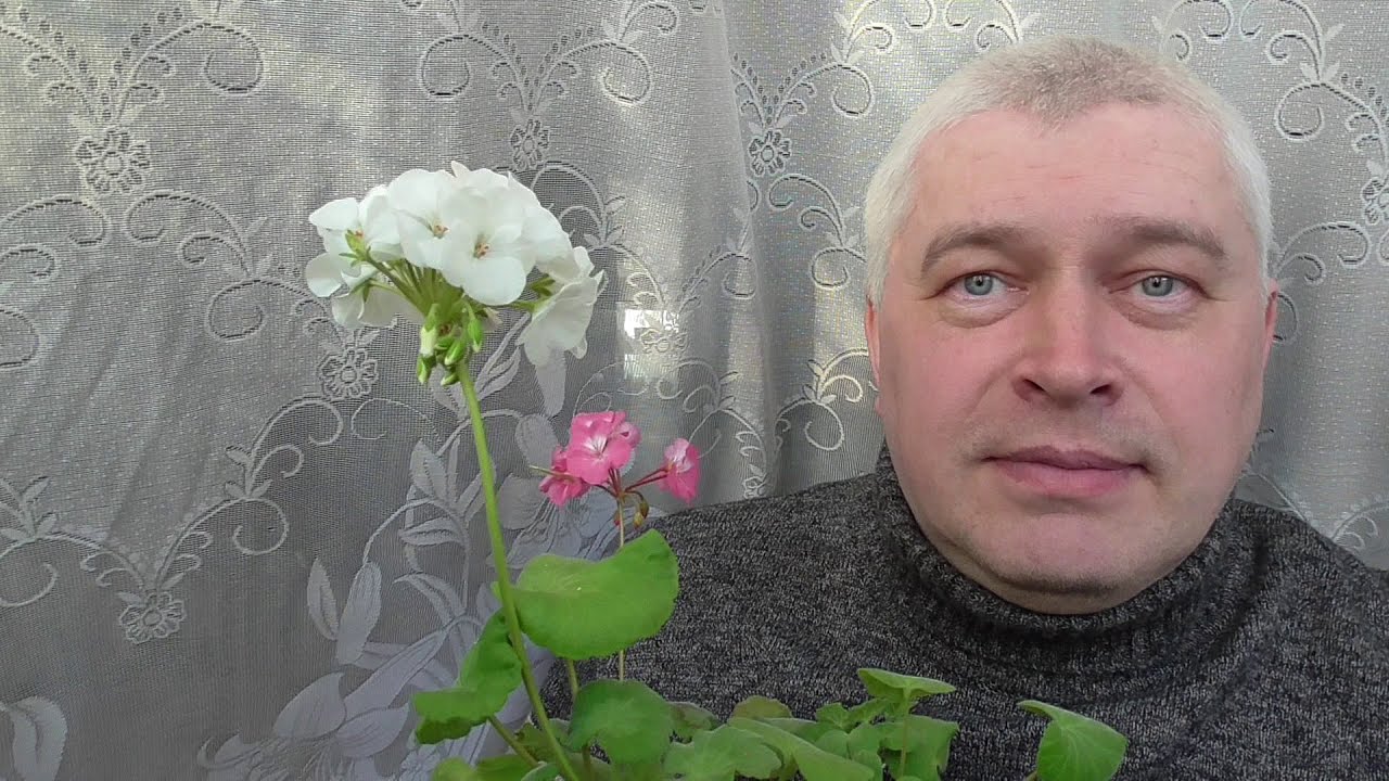 Сегодня 12 апреля 2021 год, у меня цветы