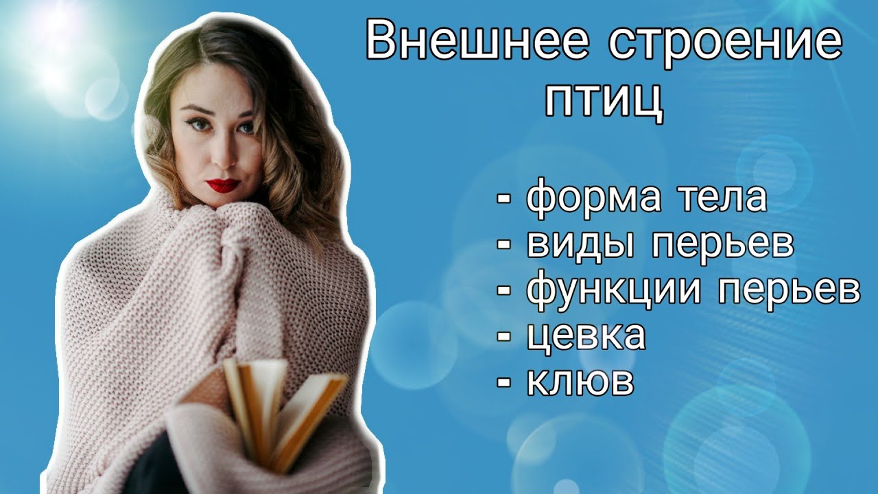 Внешнее строение птиц