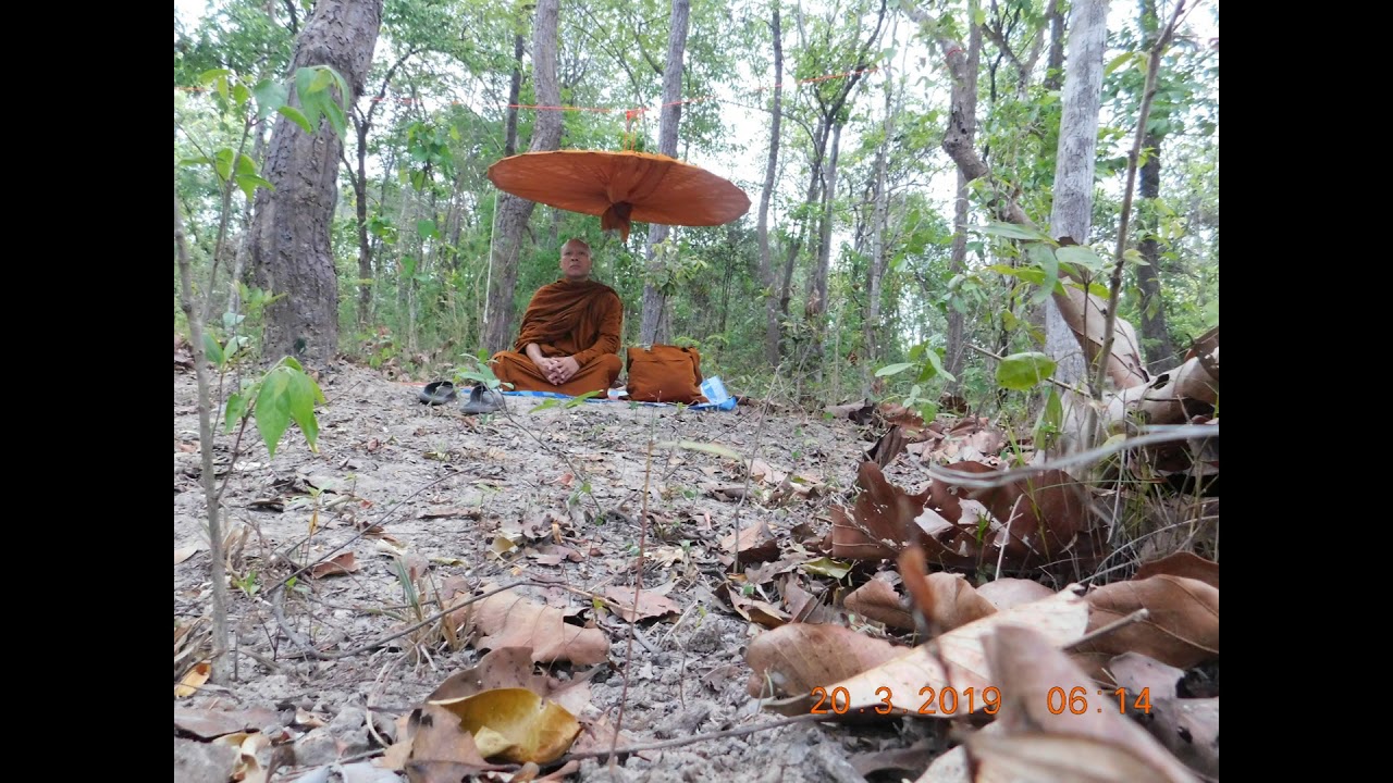 โพธิปักขิยธรรม 37   โดยหลวงปู่เดช 2019 03 27