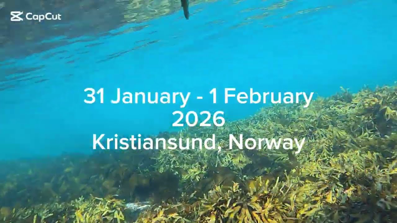 3. februar 2026