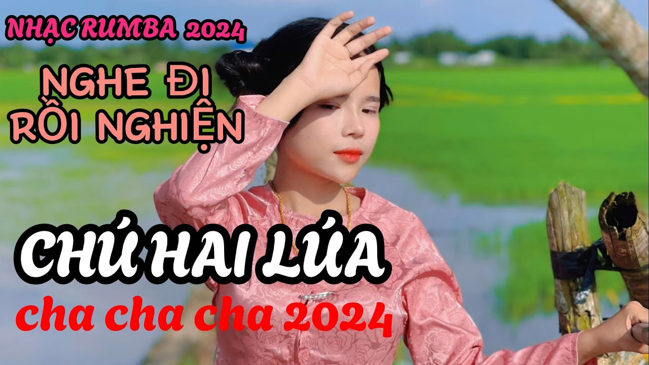 CHÚ HAI LÚA -EM GÁI MIỀN TÂY-TÌNH ĐẸP HẬU GIANG-LK CHA CHA CHA  HAY NHẤT 2024 HOT NHẤT TIKTOK