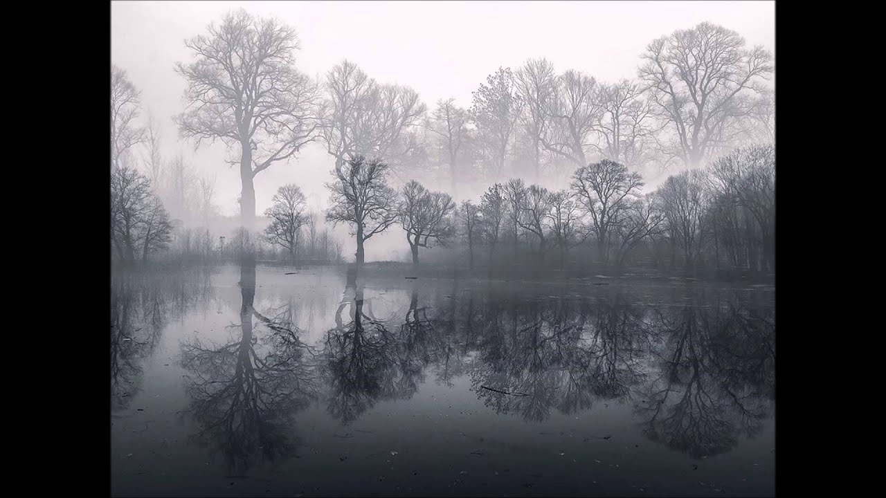 Janáček: V mlhách (In the mist)
