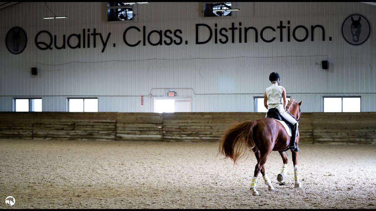 The Final Update from 2021 Sport Horse Nationals!