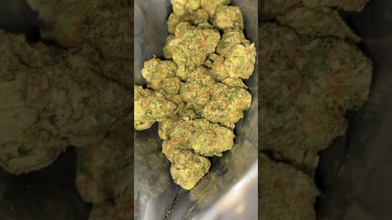 Lit Farms Gelato #41 🍨 $50 ounces link in bio!!!