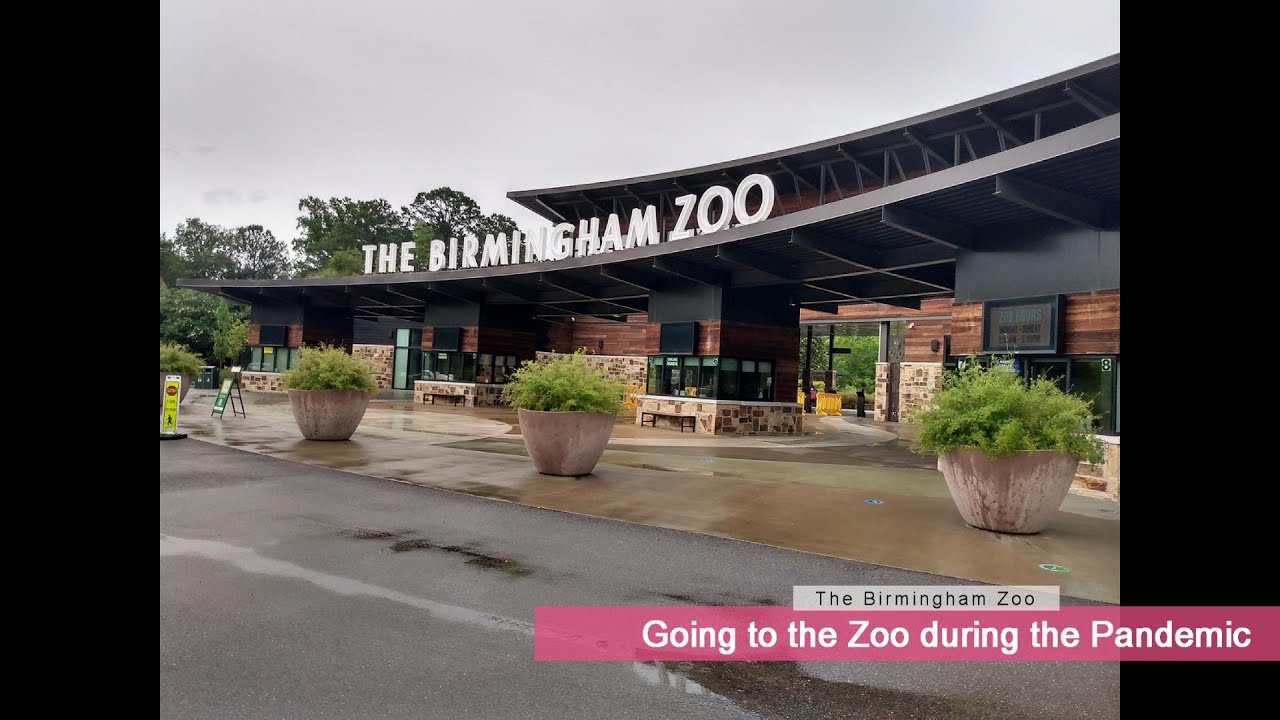 Going to the re-opened zoo!