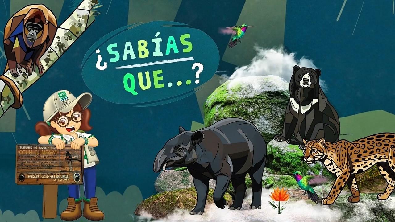 🌿🐒 Día Mundial de la Vida Silvestre