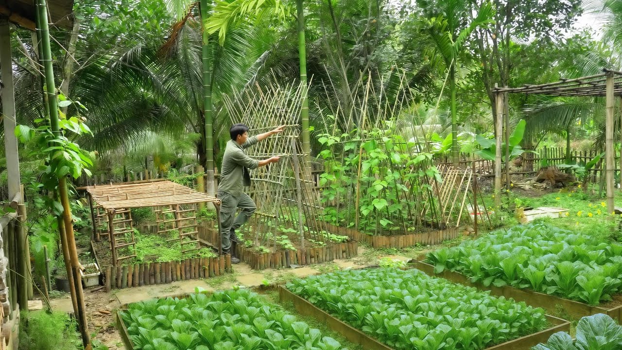 Preparing for the new season|Building trellises for string beans and making cakes from cassava roots