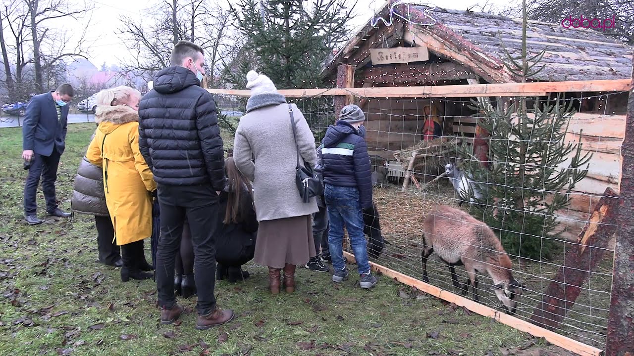 Żywa szopka w Ostroszowicach