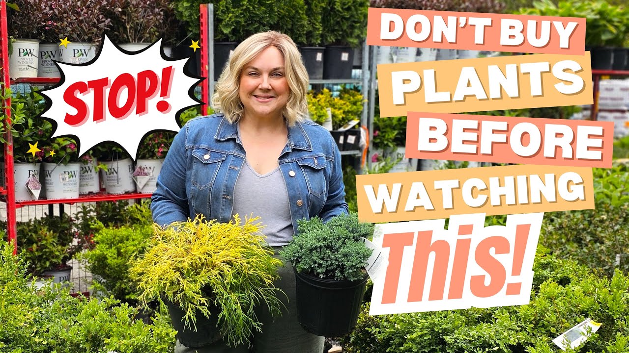 Garden Center Shopping Like a Pro! 🌿 Expert Tips to Pick the Best Plants & Shrubs