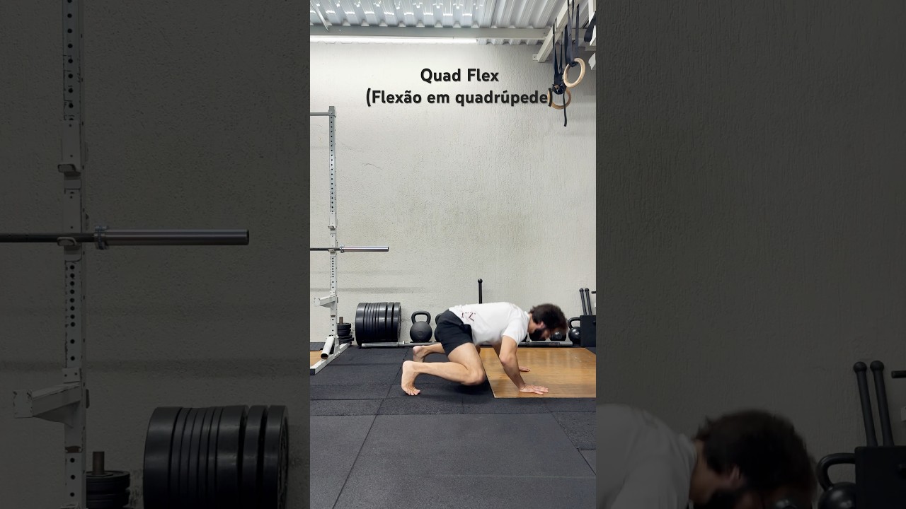 Quad Flex (flexão de braços em quadrúpede) by Tacfit