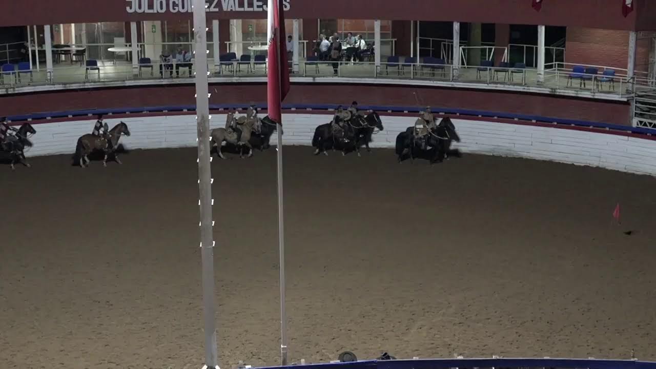 RODEO OFICIAL CLUB PEMUCO RIO PAL - PAL - (Asoc.Ñuble Cordillera) - °1 SERIE LIBRE
