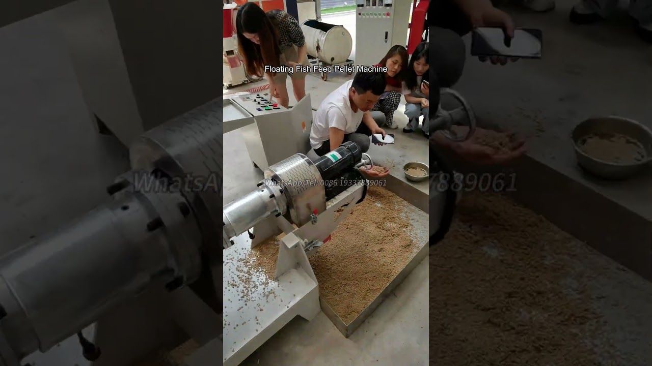 Floating Fish Feed Pellet Extruder Machine Working Test