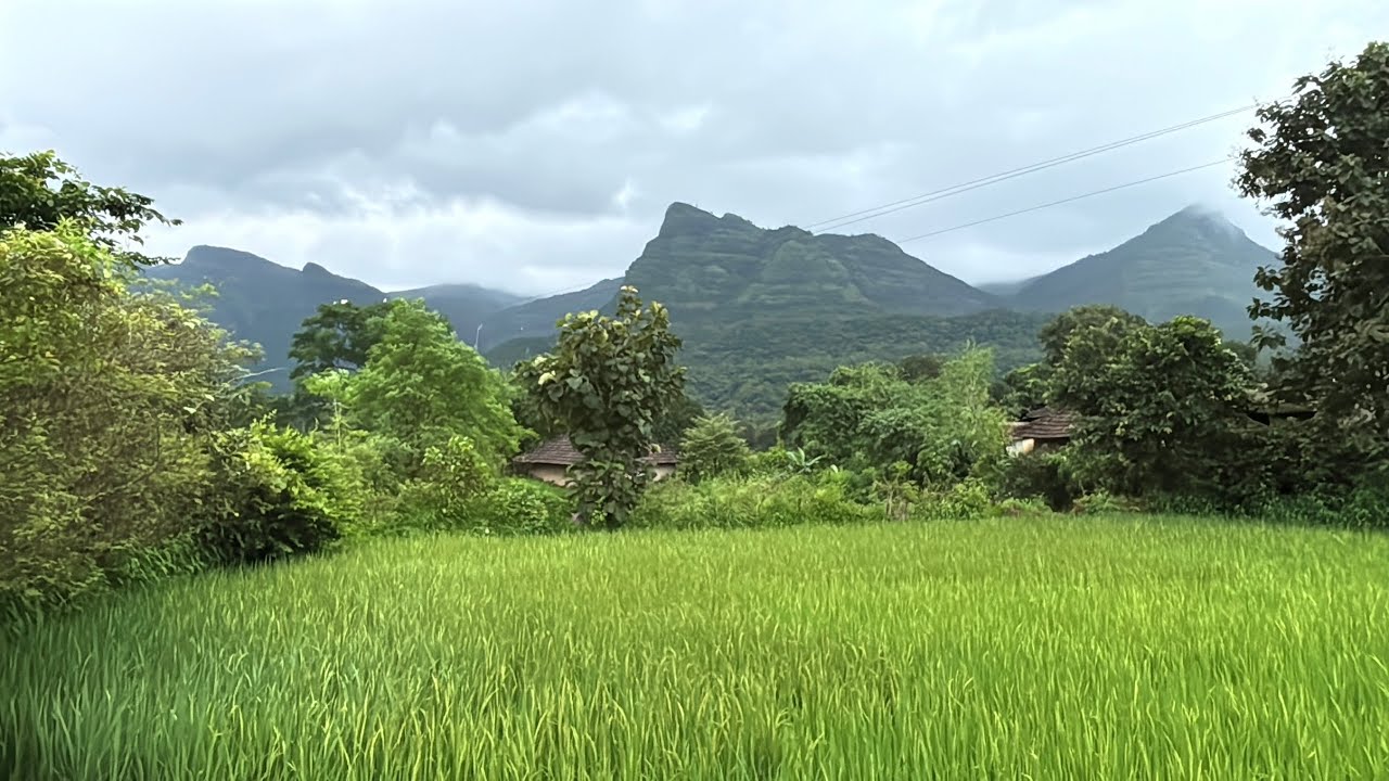 Dapoli to Pune via Varandha Ghat, 6hr दापोली ते पुणे ६तास #kokan #varandhaghat #bhor #dapoli #travel