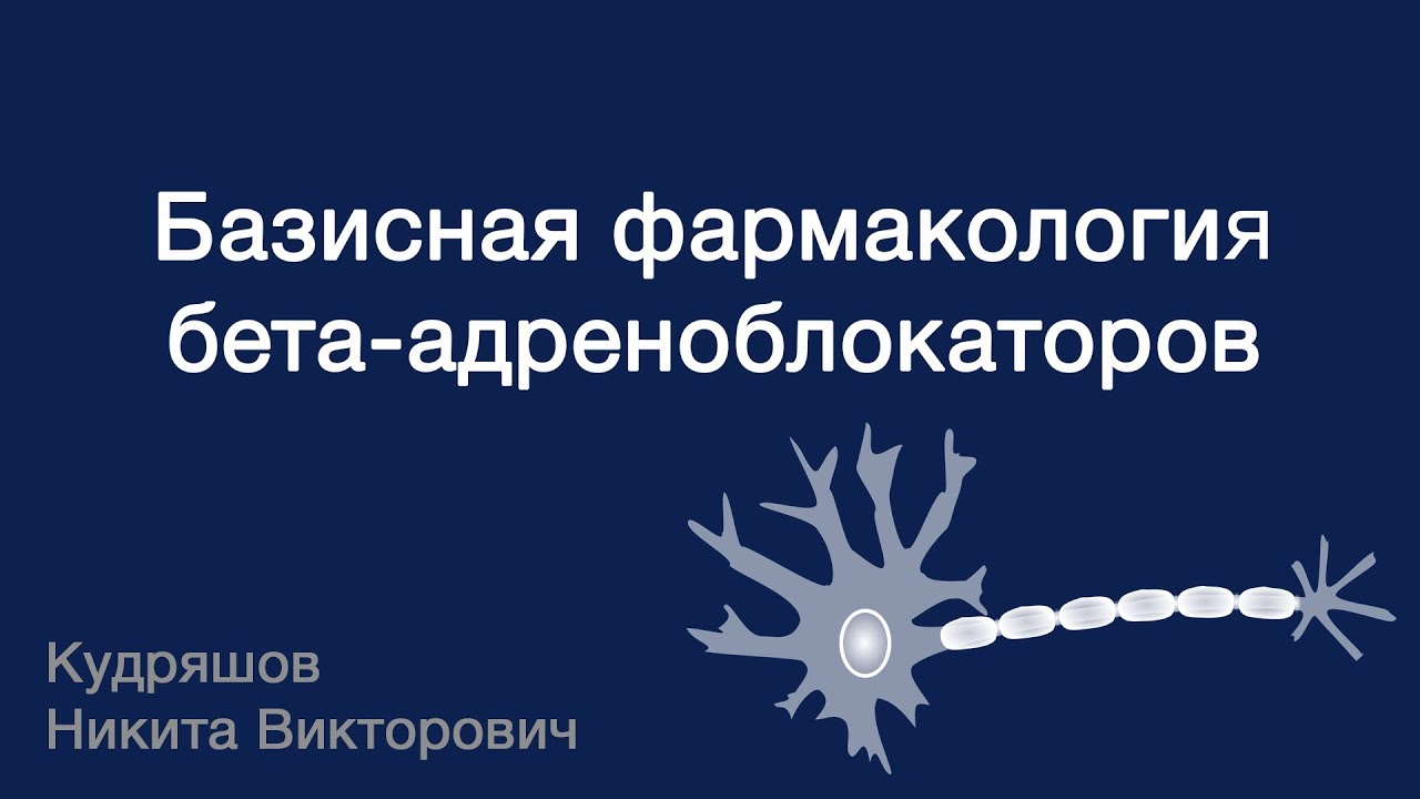 Базисная фармакология бета-адреноблокаторов