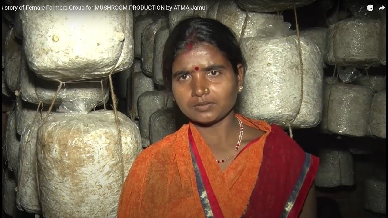 Success story of Female Farmers Group for MUSHROOM PRODUCTION by ATMA Jamui