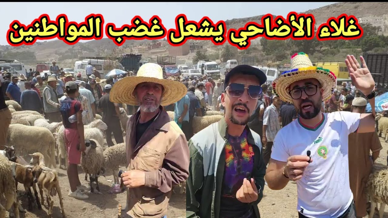 سوق الغنم بأزغنغان...أثمنة جد مرتفعة...مواطنون غاضبون