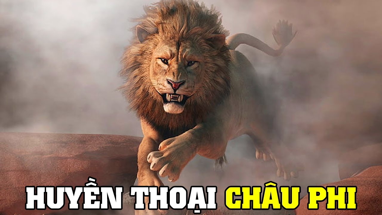 Sư Tử - Kẻ Thống Trị V&ugrave;ng  Đồng Cỏ Ch&acirc;u Phi | Kh&aacute;m Ph&aacute; Thế Giới Động Vật Hoang D&atilde;