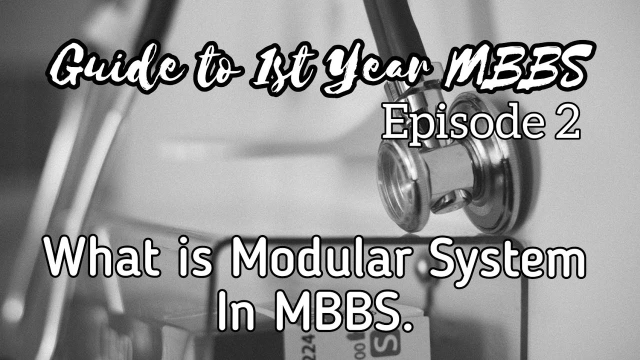 Guide to 1st Year MBBS Episode 2: Understanding Modular System, Blocks and Proffs.