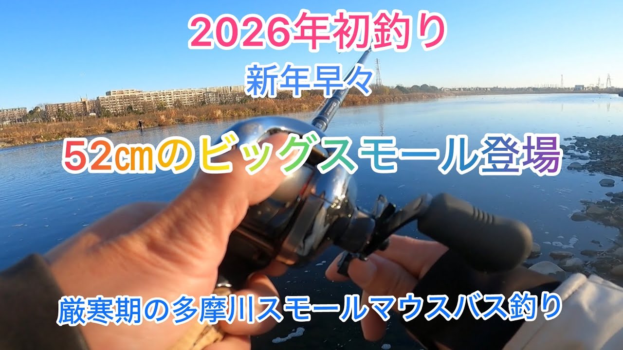 多摩川バス釣り2026年初釣りで52㎝のビッグバス#バス釣り#多摩川 #釣り#スモールマウスバス 