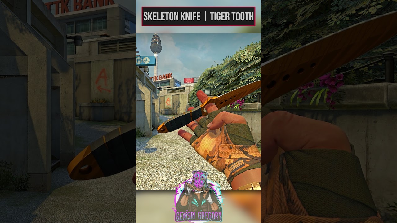 Skeleton Knife | Tiger Tooth - Concept - CS:GO Shorts