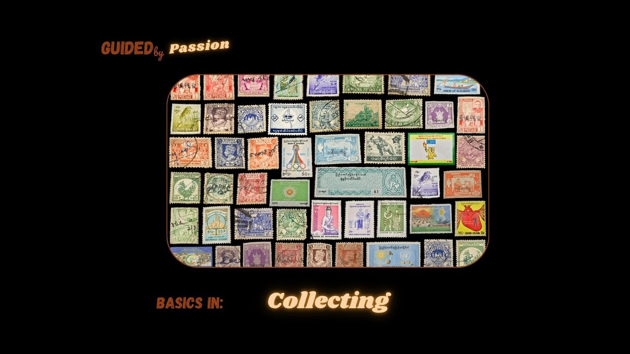 The Collector's Edge: How Systematic Collecting Builds Organization & Focus for Life Success