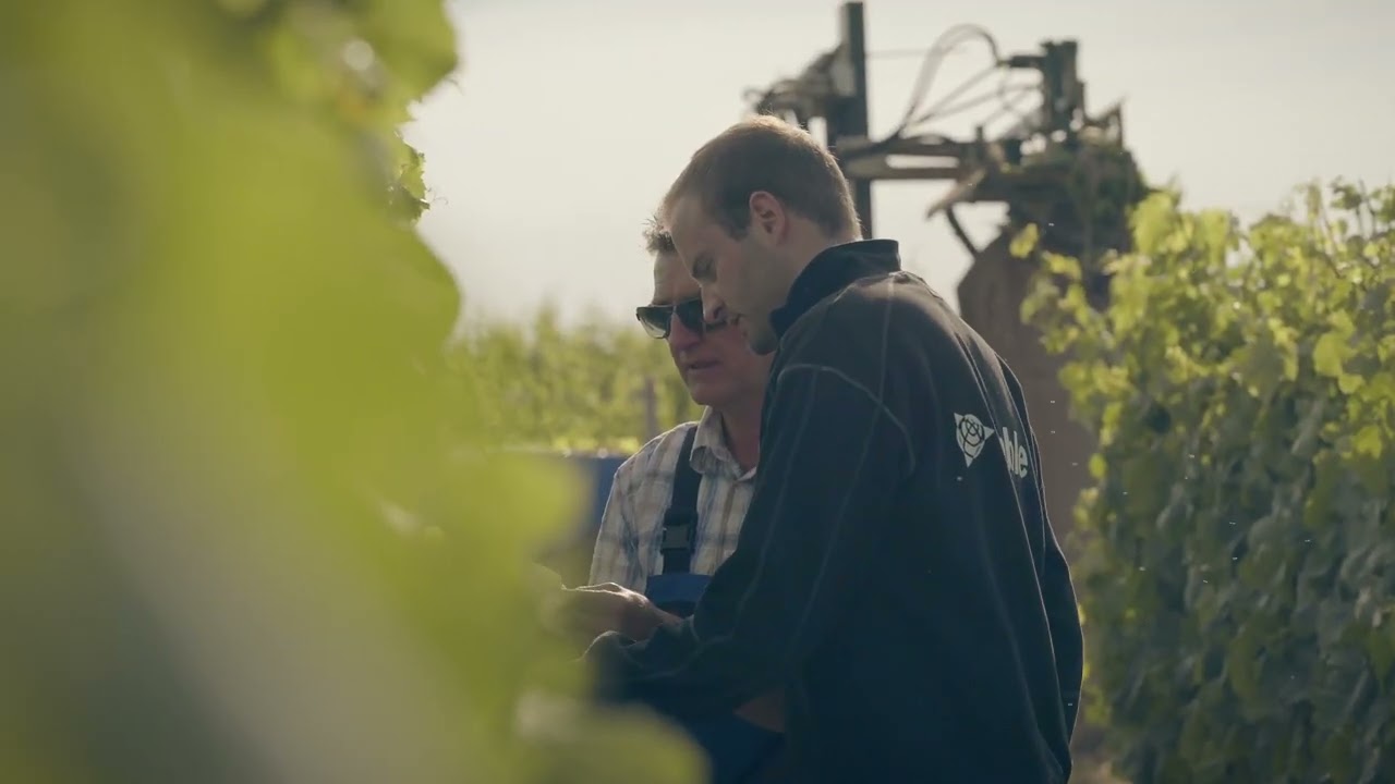 Trimble Kundenstimmen: Weinbau Norbert Gruber (Rheinhessen)