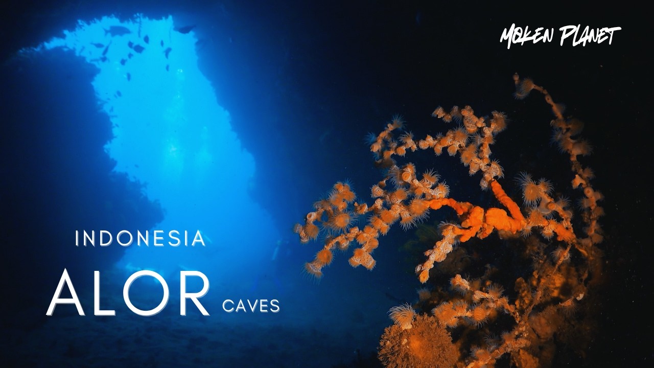 DARKNESS SHADOWS︱ALOR CAVES & NIGHT SECRETS ︱INDONESIA︱BEST SAVU SEA SCUBA SCUBA DIVING︱4K HDR VIDEO
