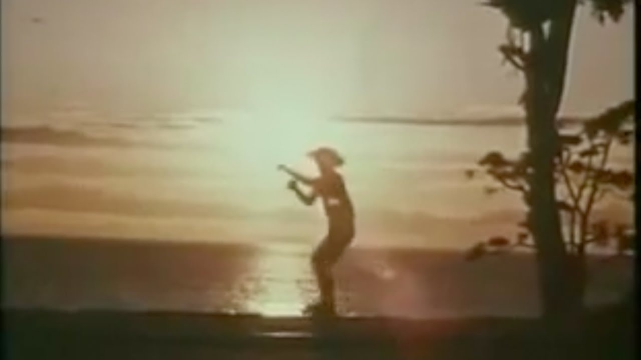 Mac DeMarco & Jon Lent - I Was A Fool To Care (Unofficial Video)