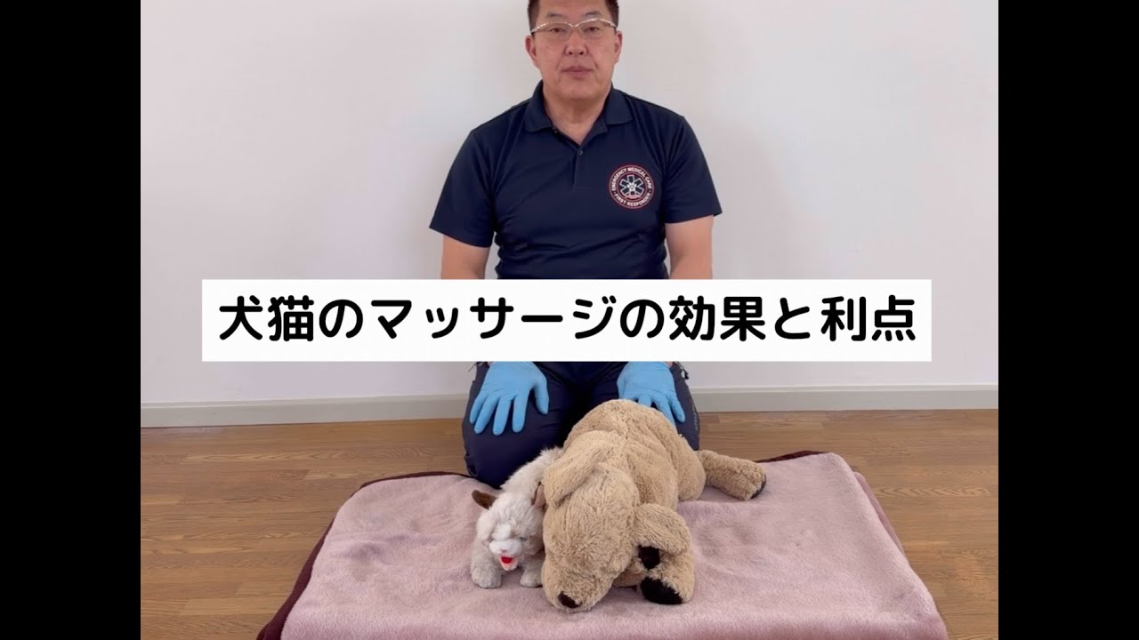 犬猫のマッサージの仕方