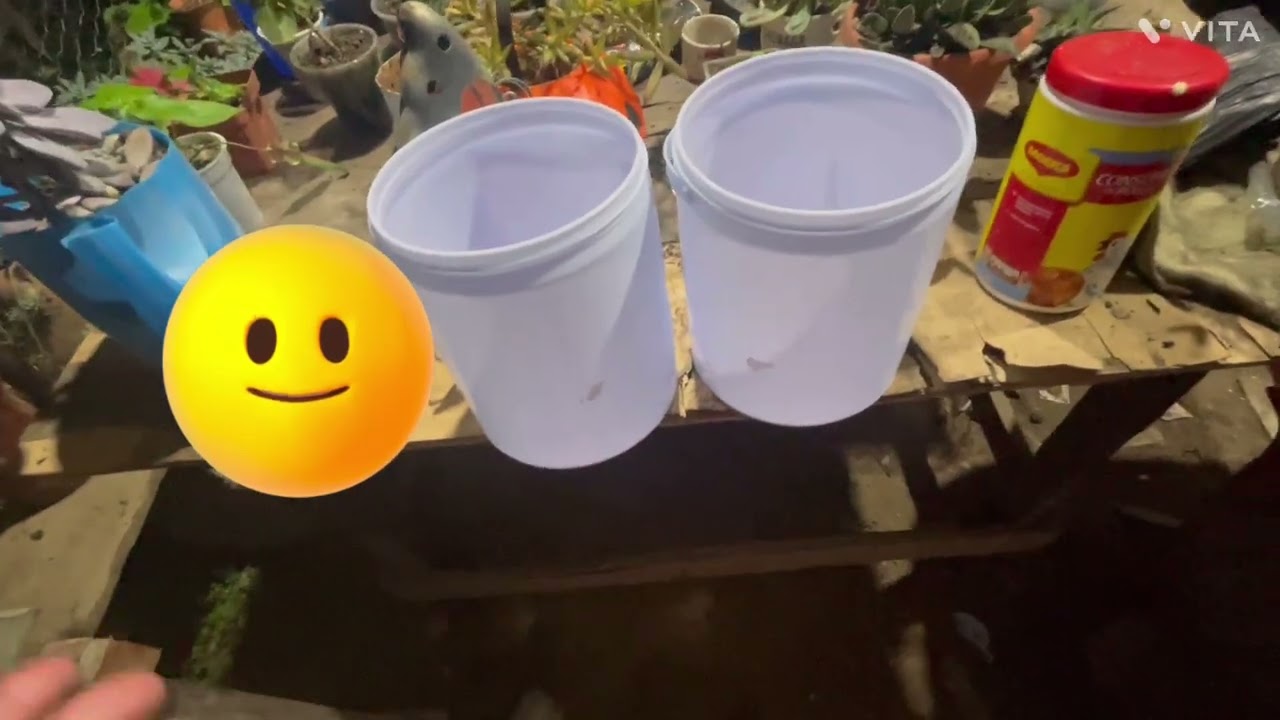 Último video del año 2025 