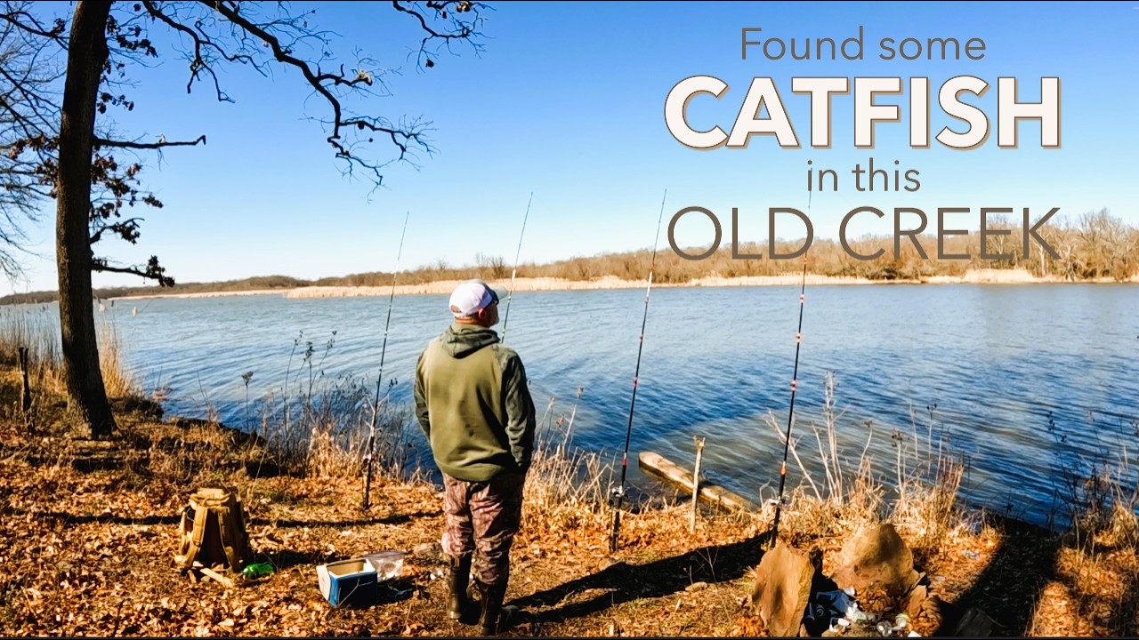 Found some catfish in this old creek