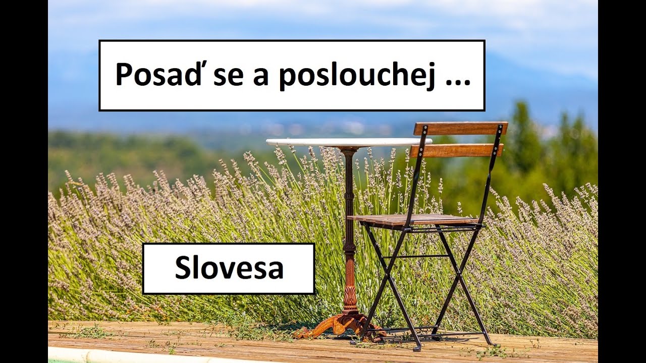 Learn some Czech verbs : What people don't do. / Co lidé nedělají.