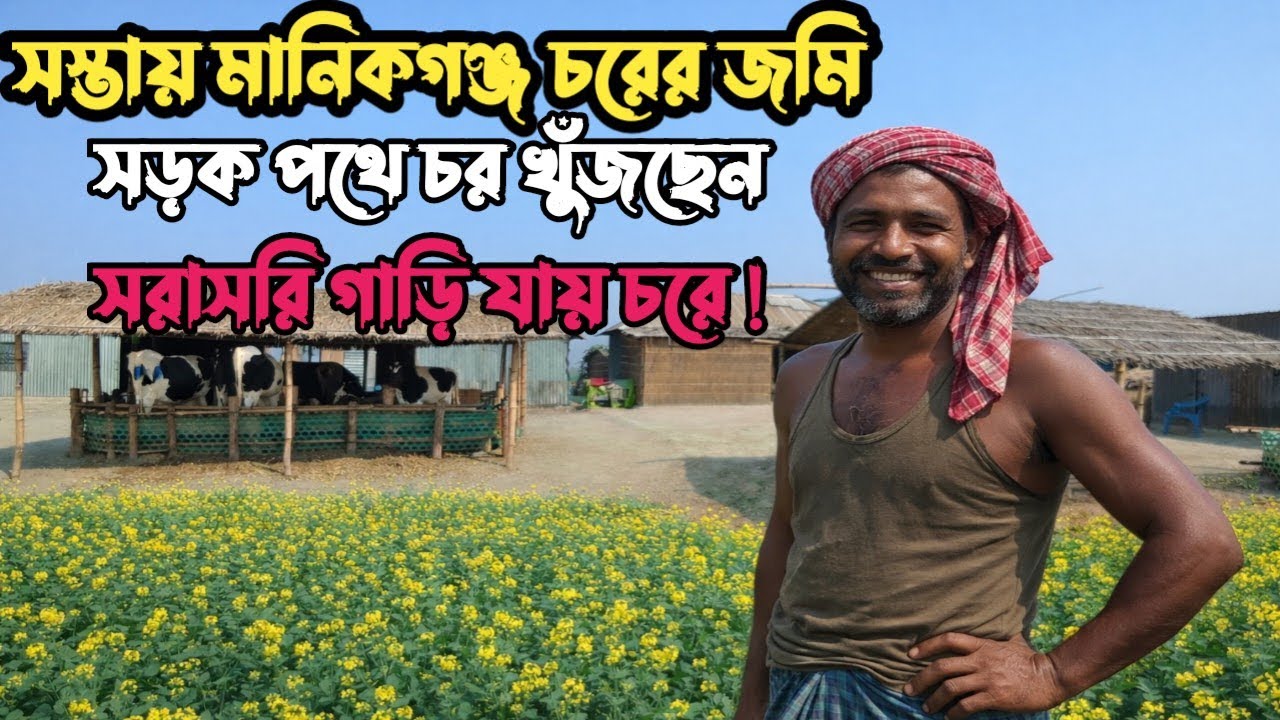  সস্তায় জমি নদী ভাঙ্গন নেই বিদ্যুৎ আছে সরাসরি গাড়ি নিয়ে  যাওয়া যায় যাতায়াত ব্যবস্থা ভালো! 