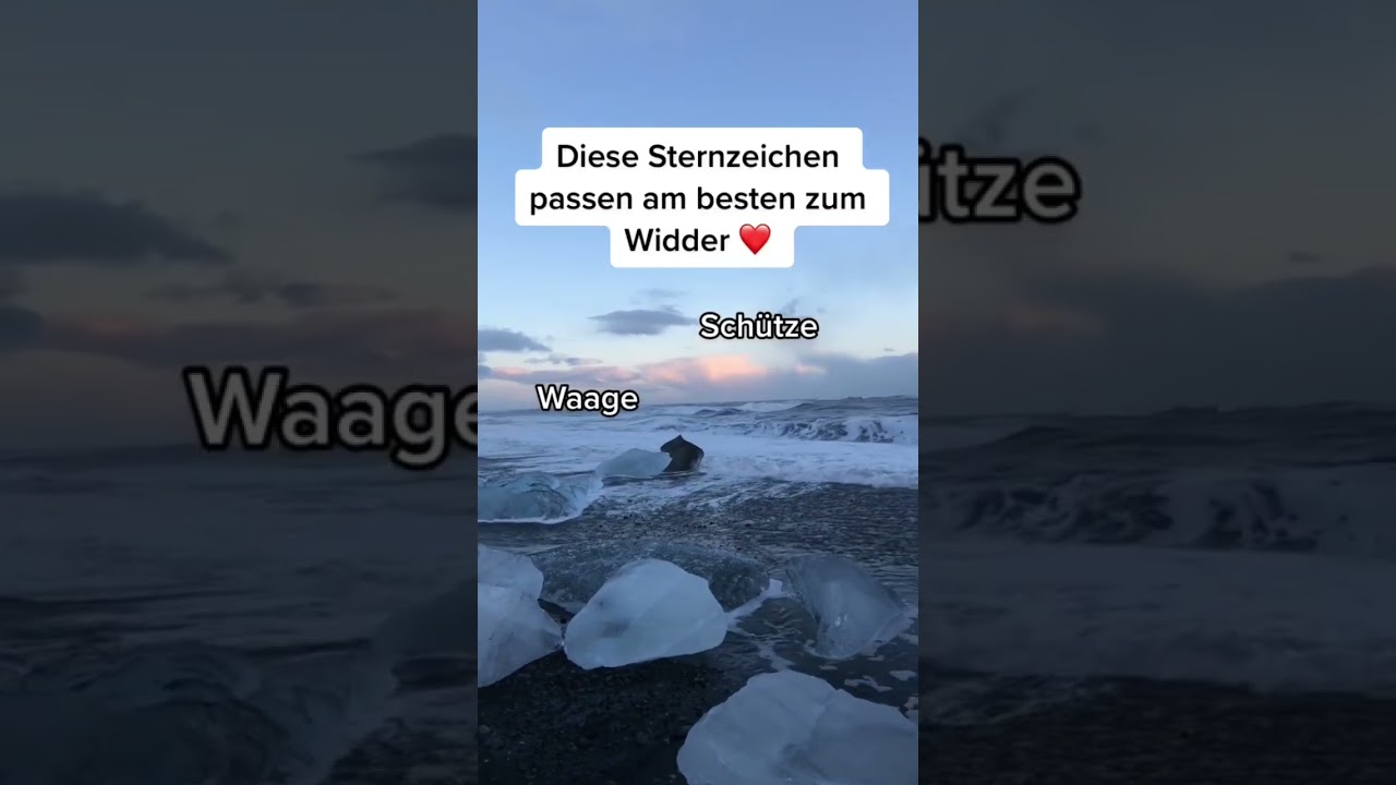 Diese Sternzeichen passen am besten zum Widder❤️ | #shorts #orakel #horoskop #sternzeichen #fyp