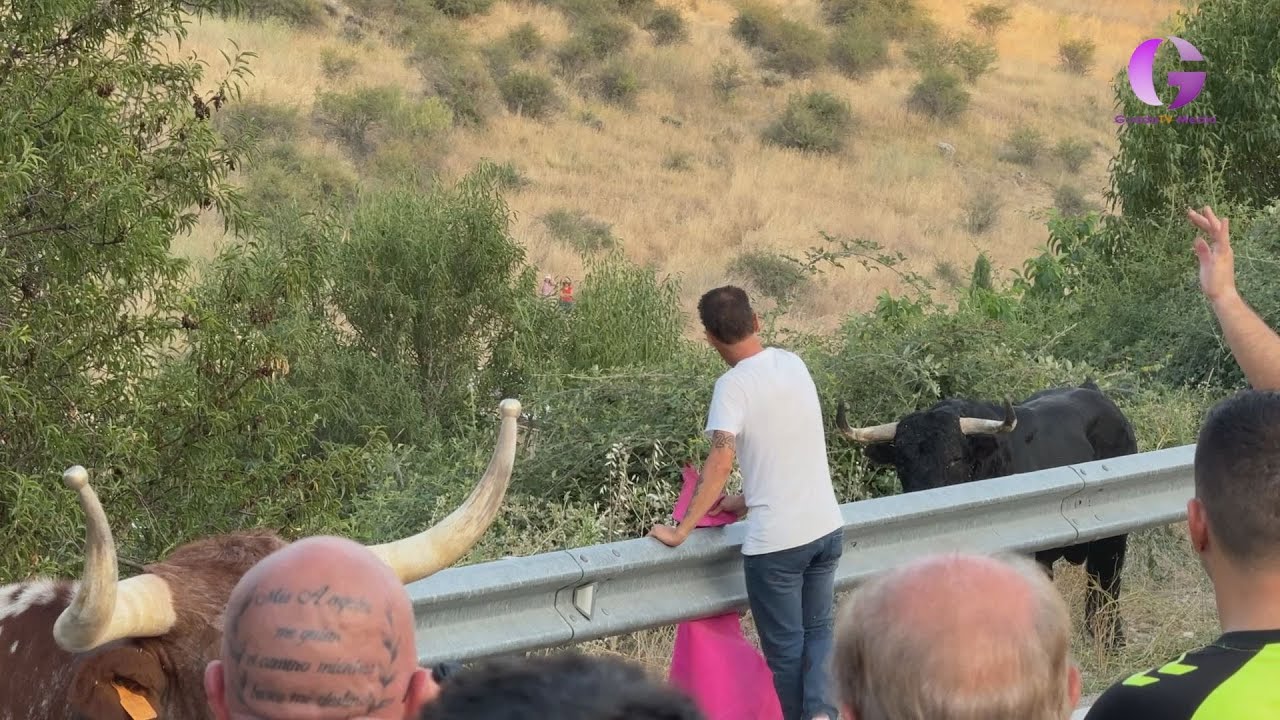 Emoción y riesgo en el tradicional encierro por el campo de Brihuega