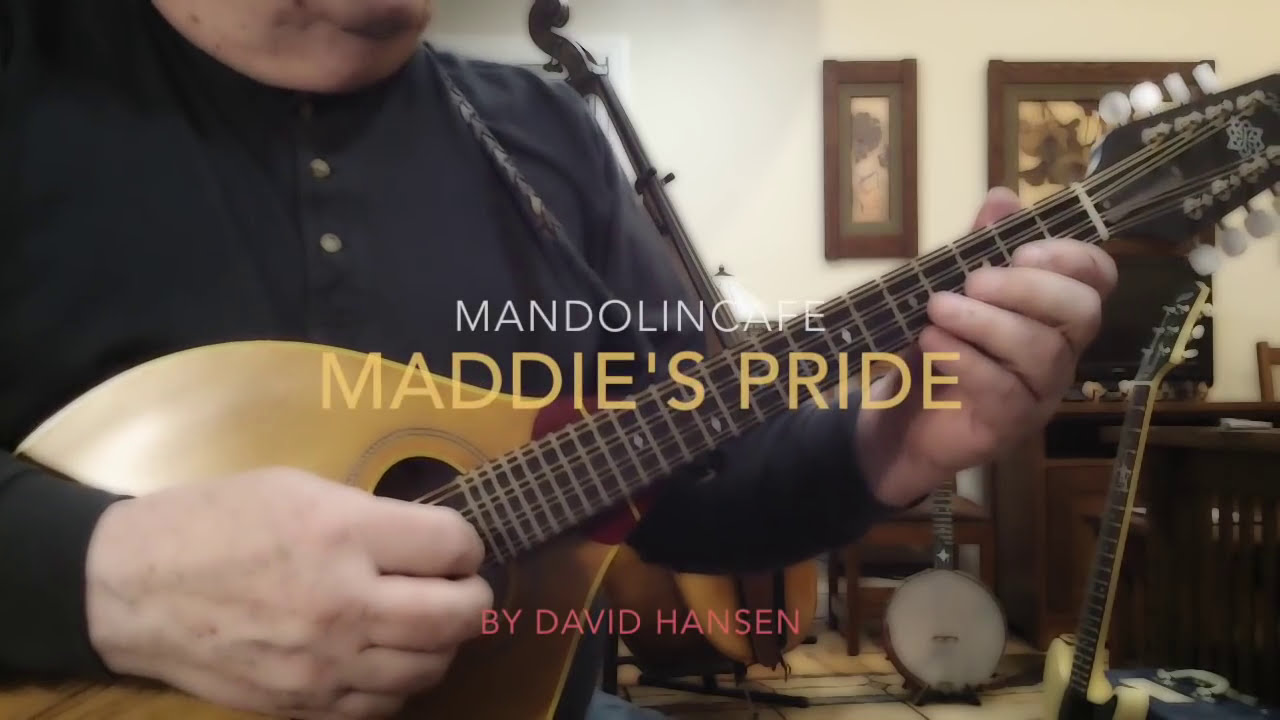 Maddie's Pride (David Hansen)