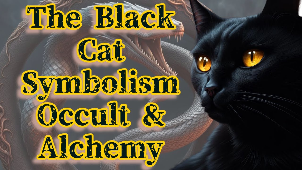 The Black Cat - Symbolism in Alchemy and the Occult