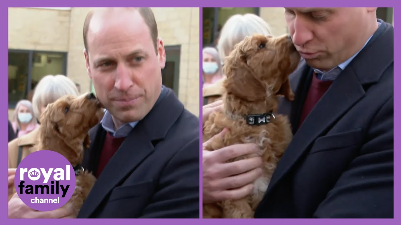 Prince William's Smooch with a Pooch