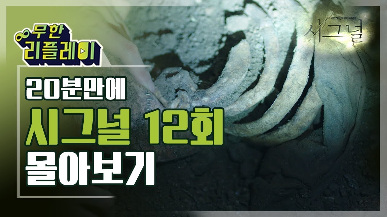 [#무한리플레이] 시그널 12화 20분만에 몰아보기(안치수 계장의 죽음과 드디어 찾은 이재한 형사의 유골) | #시그널 | #Diggle