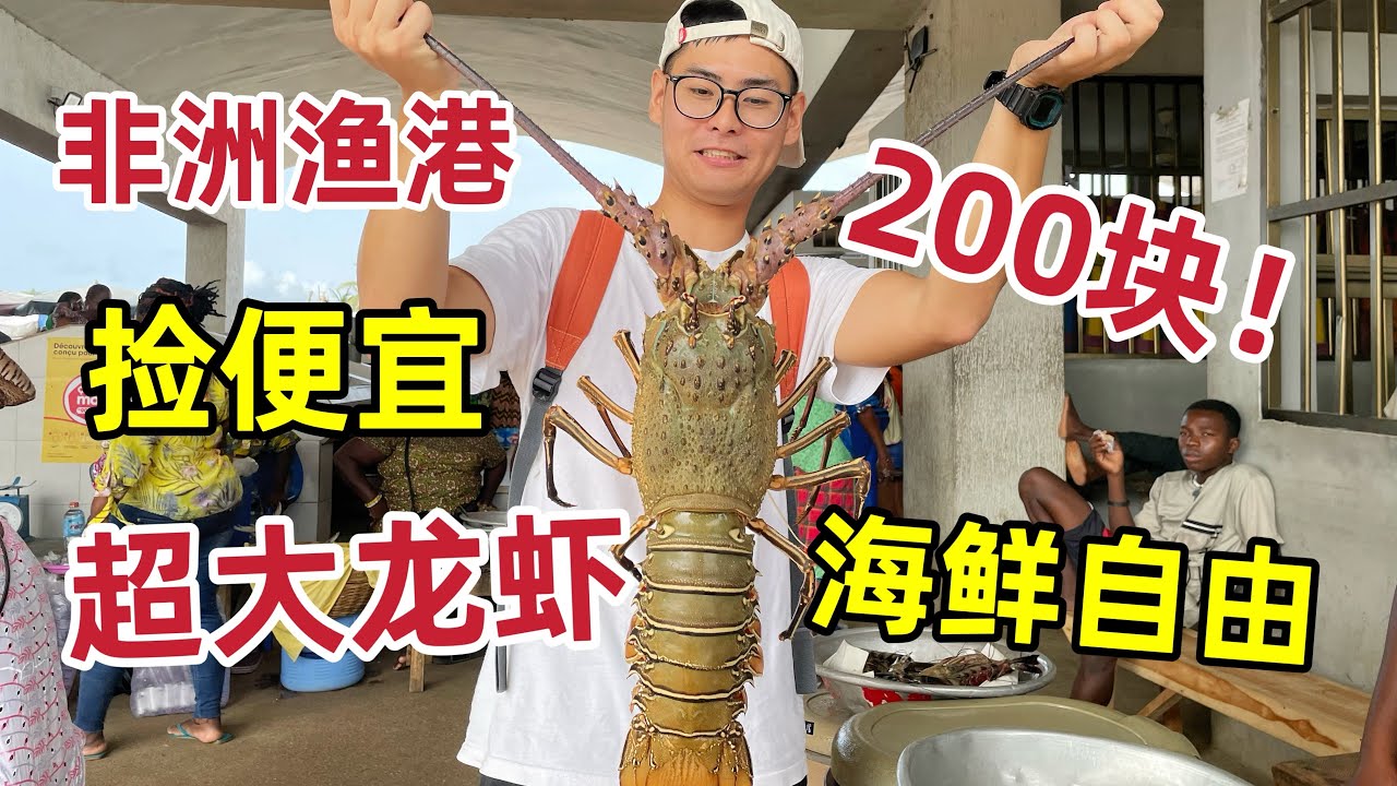 非洲超大龙虾居然没人要，5斤大龙虾只要200块！非洲海鲜太便宜！